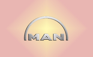 ✓ MAN N1.01101.7267 Запчасти МАН (MAN) 